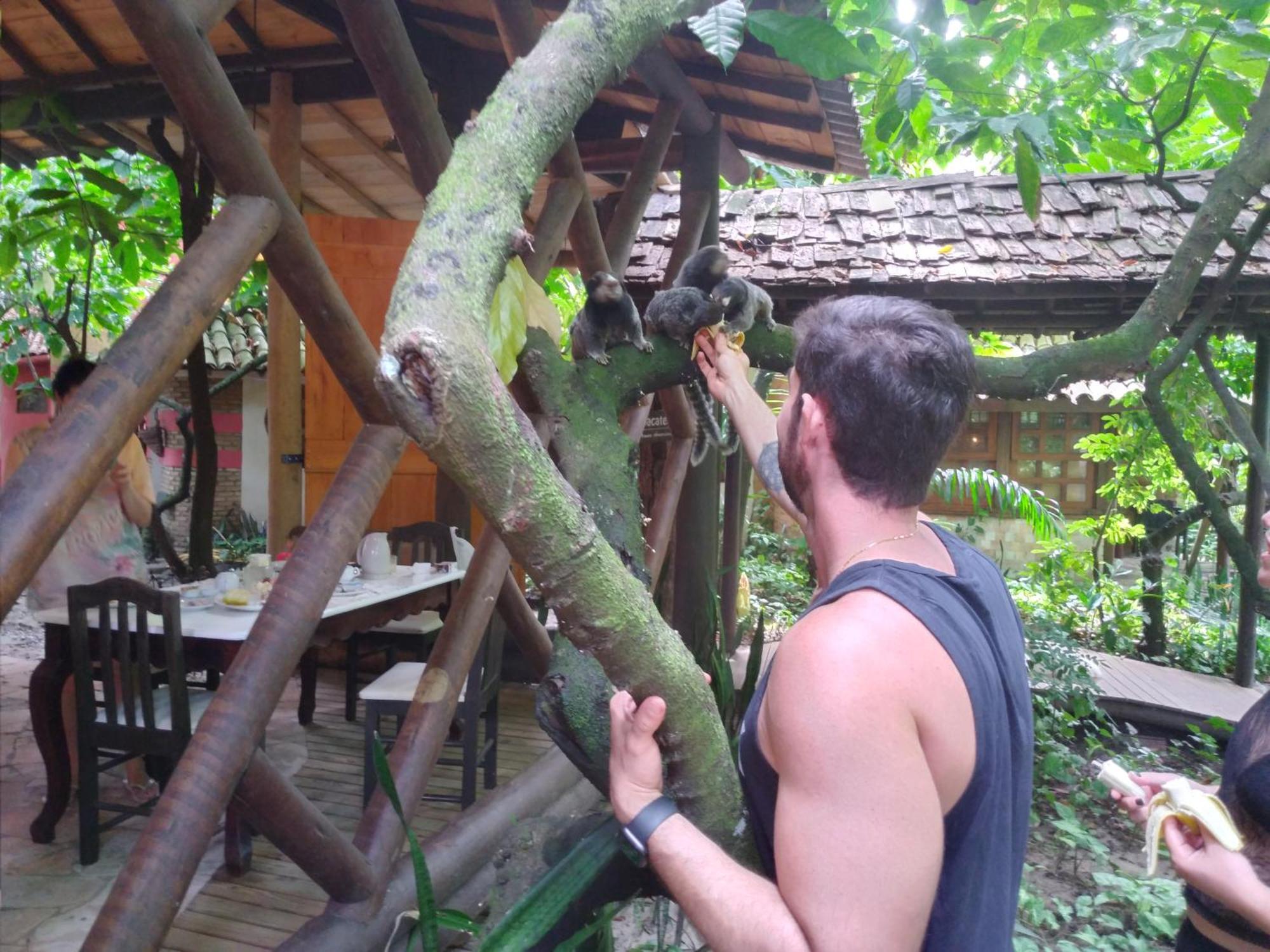 Pousada Fruta Pao Barra Grande  Exteriör bild